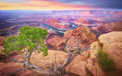 Dawn at Colorado River Overlook print