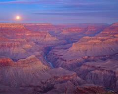 Moonset at Sunrise over the Grand Canyon print