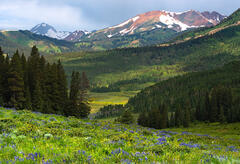 Spring Morning in the Elk Mountains print